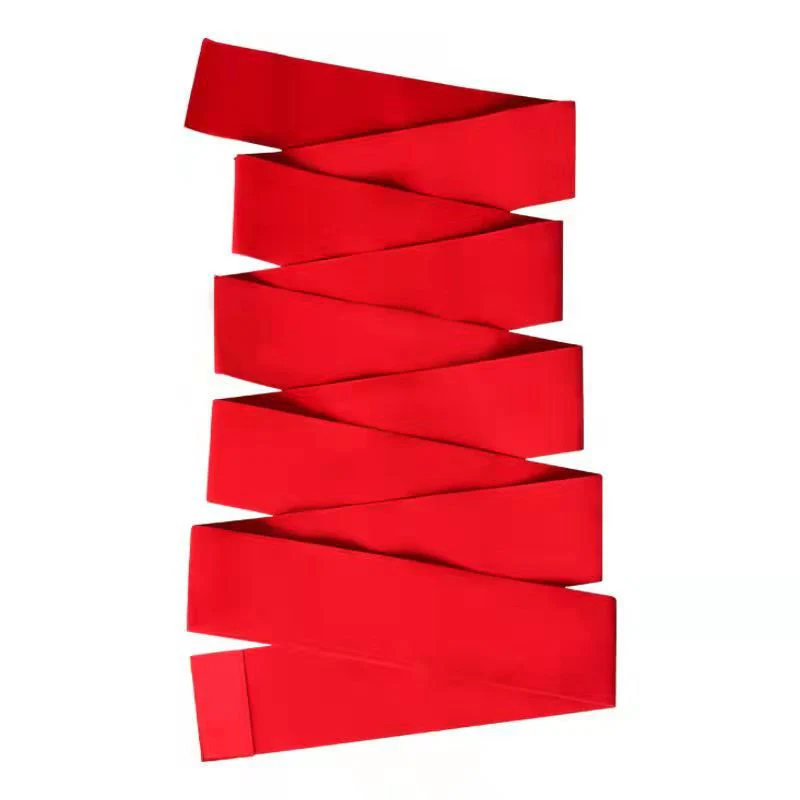 La Rouge Post Partum Waist Belt - Image 4