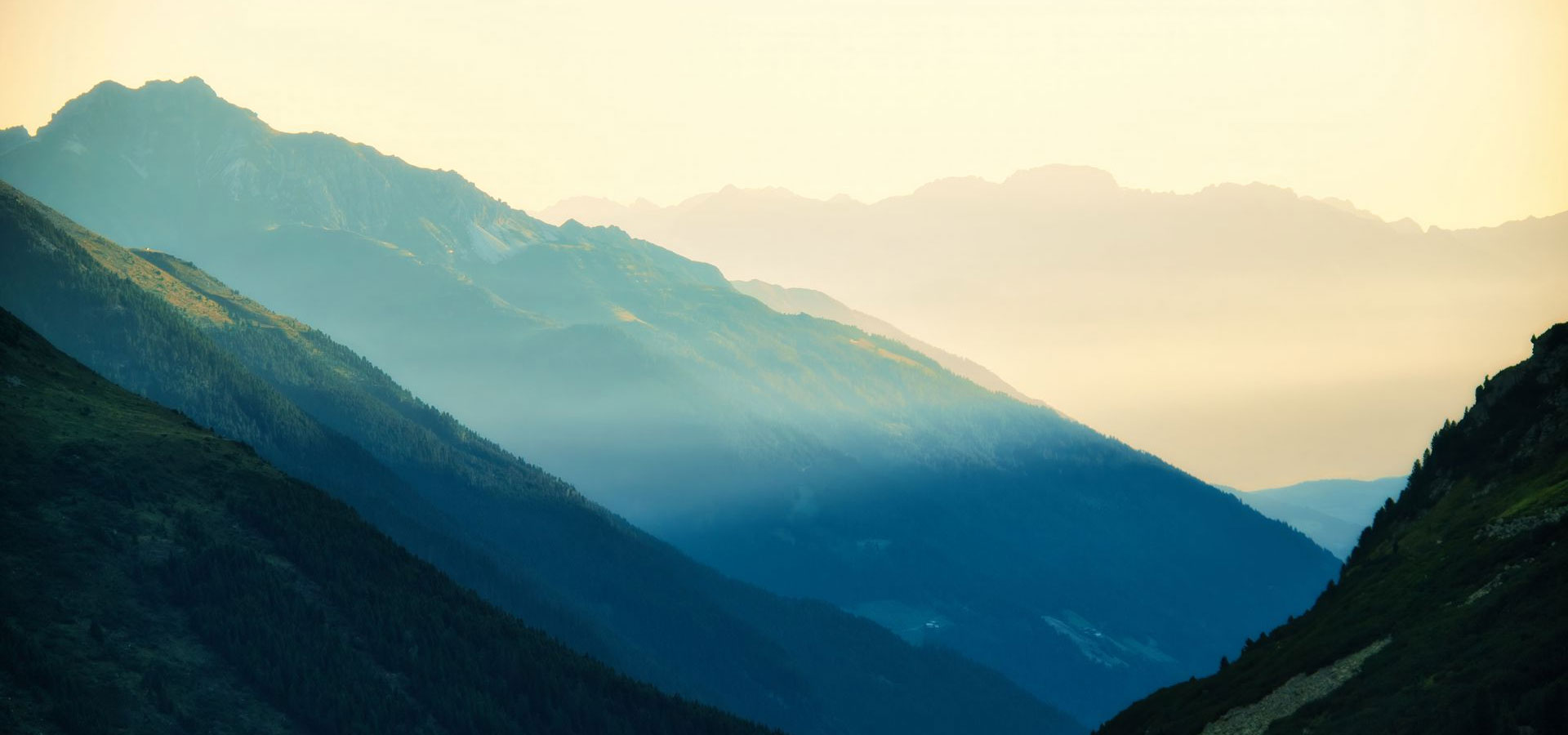 Support the Southern Hemp Coalition of MS